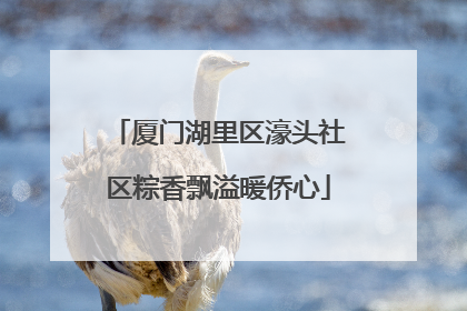 厦门湖里区濠头社区粽香飘溢暖侨心