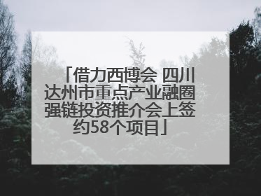 借力西博会 四川达州市重点产业融圈强链投资推介会上签约58个项目