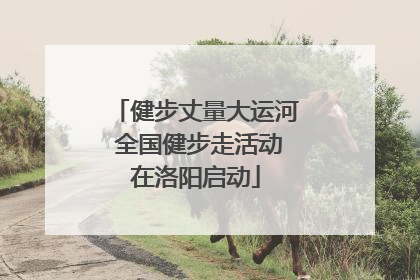 健步丈量大运河 全国健步走活动在洛阳启动
