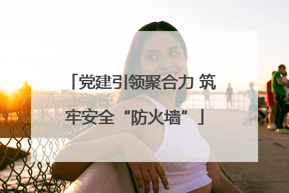 党建引领聚合力 筑牢安全“防火墙”