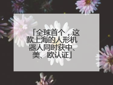 全球首个，这款上海的人形机器人同时获中、美、欧认证