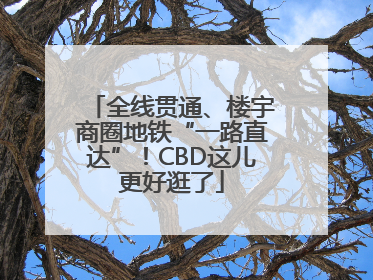 全线贯通、楼宇商圈地铁“一路直达”！CBD这儿更好逛了