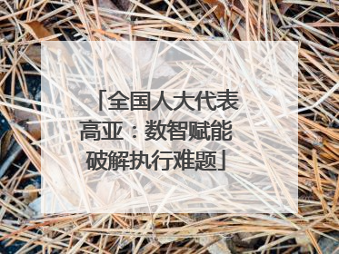 全国人大代表高亚：数智赋能破解执行难题