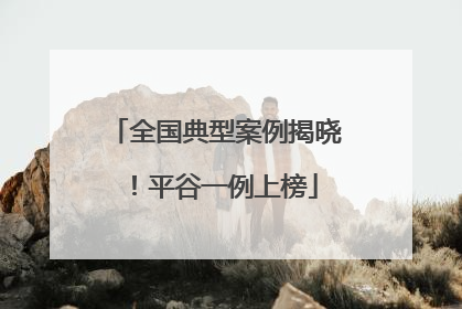 全国典型案例揭晓！平谷一例上榜
