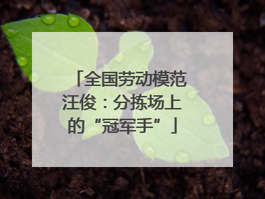 全国劳动模范汪俊：分拣场上的“冠军手”