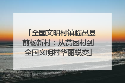 全国文明村镇临邑县前杨新村：从贫困村到全国文明村华丽蜕变