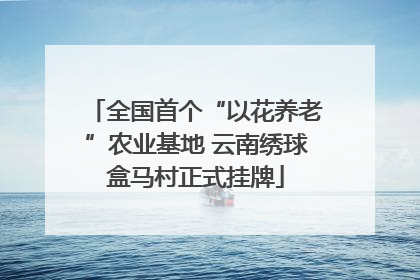 全国首个“以花养老”农业基地 云南绣球盒马村正式挂牌