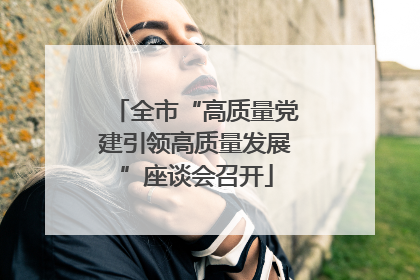 全市“高质量党建引领高质量发展”座谈会召开