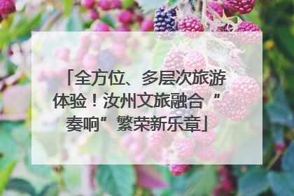 全方位、多层次旅游体验！汝州文旅融合“奏响”繁荣新乐章