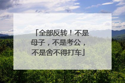 全部反转！不是母子，不是考公，不是舍不得打车