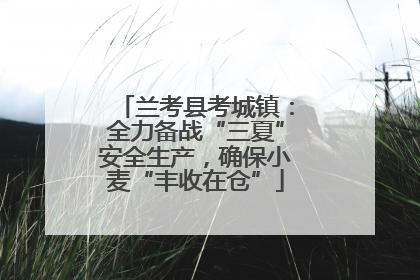 兰考县考城镇：全力备战“三夏”安全生产，确保小麦“丰收在仓”