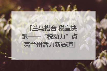 兰马搭台 税宣快跑——“税动力”点亮兰州活力新赛道