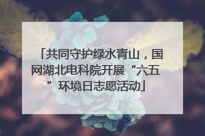 共同守护绿水青山，国网湖北电科院开展“六五”环境日志愿活动
