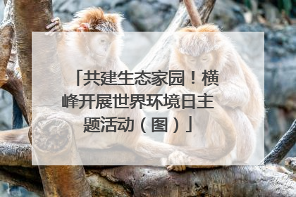 共建生态家园！横峰开展世界环境日主题活动（图）