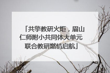共擎教研火炬，眉山仁师附小共同体大单元联合教研燃情启航