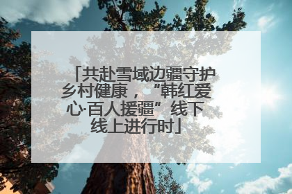 共赴雪域边疆守护乡村健康，“韩红爱心·百人援疆”线下线上进行时