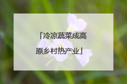 冷凉蔬菜成高原乡村热产业