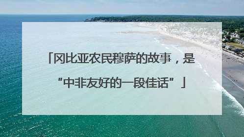 冈比亚农民穆萨的故事，是“中非友好的一段佳话”