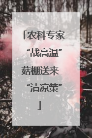 农科专家“战高温” 菇棚送来“清凉策”