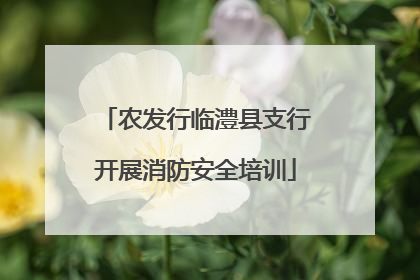 农发行临澧县支行开展消防安全培训
