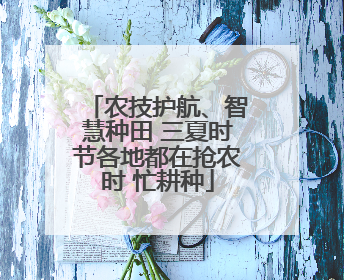 农技护航、智慧种田 三夏时节各地都在抢农时 忙耕种
