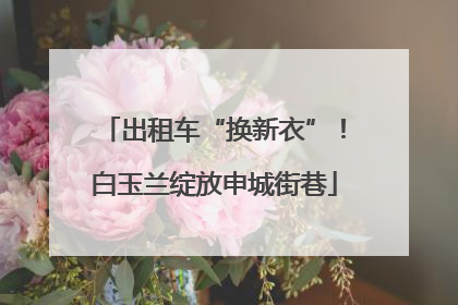 出租车“换新衣”！白玉兰绽放申城街巷
