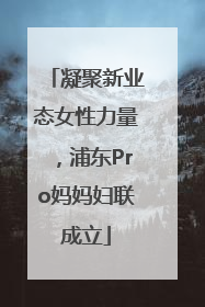 凝聚新业态女性力量，浦东Pro妈妈妇联成立