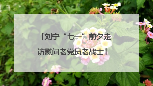 刘宁“七一”前夕走访慰问老党员老战士