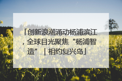 创新浪潮涌动杨浦滨江，全球目光聚焦“杨浦智造”｜相约复兴岛