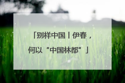 别样中国丨伊春，何以“中国林都”