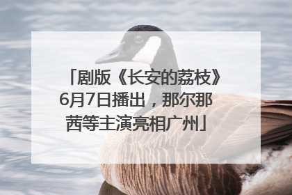 剧版《长安的荔枝》6月7日播出，那尔那茜等主演亮相广州