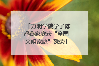 力明学院学子陈睿鑫家庭获“全国文明家庭”殊荣