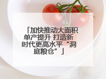 加快推动大面积单产提升 打造新时代更高水平“洞庭粮仓”
