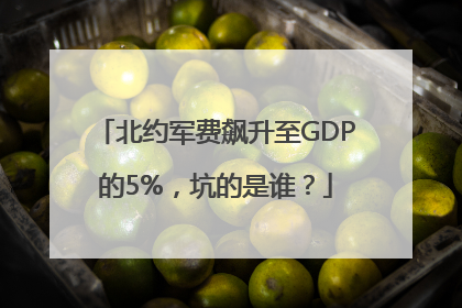 北约军费飙升至GDP的5%，坑的是谁？