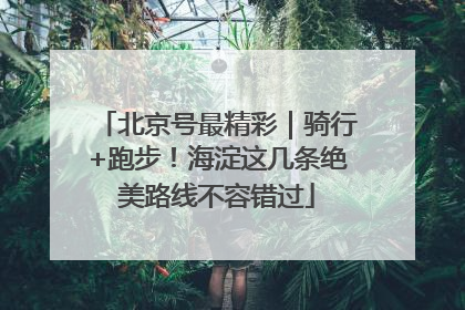 北京号最精彩｜骑行+跑步！海淀这几条绝美路线不容错过