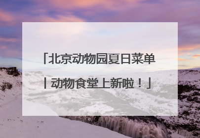 北京动物园夏日菜单丨动物食堂上新啦！