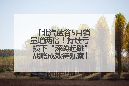 北汽蓝谷5月销量增两倍！持续亏损下“深蹲起跳”战略成效待观察
