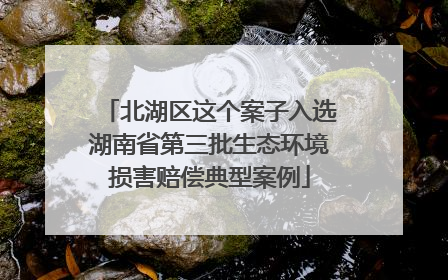 北湖区这个案子入选湖南省第三批生态环境损害赔偿典型案例