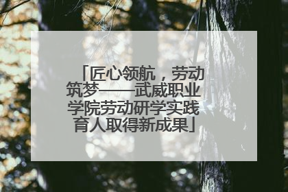匠心领航，劳动筑梦——武威职业学院劳动研学实践育人取得新成果