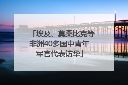 埃及、莫桑比克等非洲40多国中青年军官代表访华