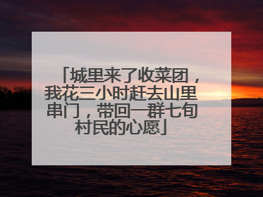 城里来了收菜团，我花三小时赶去山里串门，带回一群七旬村民的心愿