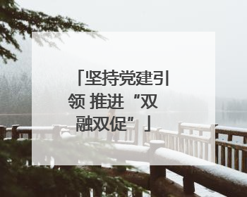 坚持党建引领 推进“双融双促”