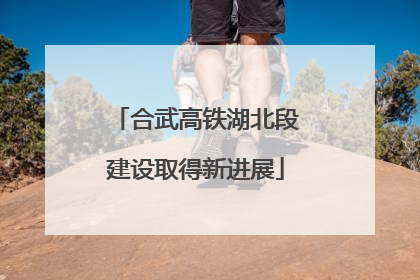 合武高铁湖北段建设取得新进展