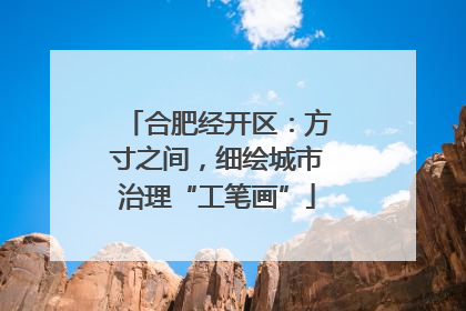 合肥经开区：方寸之间，细绘城市治理“工笔画”