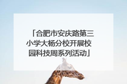 合肥市安庆路第三小学大杨分校开展校园科技周系列活动
