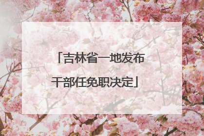 吉林省一地发布干部任免职决定