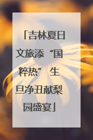 吉林夏日文旅添“国粹热” 生旦净丑献梨园盛宴