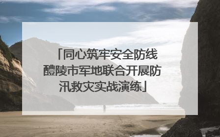 同心筑牢安全防线 醴陵市军地联合开展防汛救灾实战演练