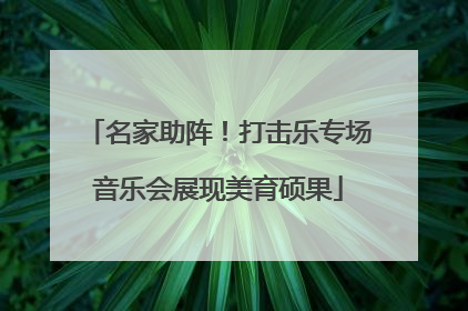 名家助阵！打击乐专场音乐会展现美育硕果