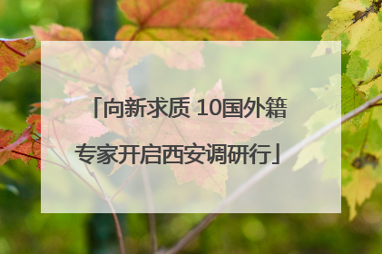 向新求质 10国外籍专家开启西安调研行